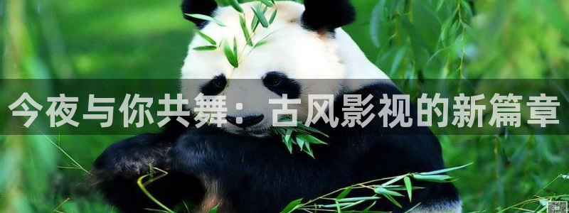 奇优影院高清版：今夜与你共舞：古风影视的新篇章